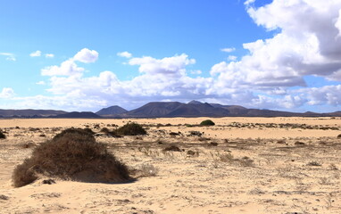 View of the dune Corralejo on the Canary island of Fuerteventura