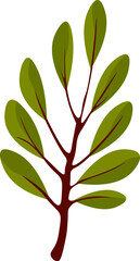 A vibrant green leaf stands out against a clean white background, showcasing its natural beauty and simplicity.