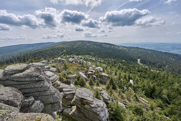 Dying forest due to bark beetle infestation in the Bavarian Forest near the Czech border, Bavaria,...