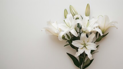 Ethereal Elegance: A Bouquet of White Flowers Dancing on a White Canvas
