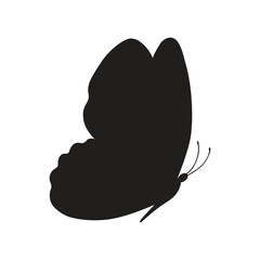 Butterfly black color, flying shape, vector design. Abstract modern monarch butterfly contours on white background for decoration design. Closeup design element, black butterfly, silhouette, icon, art