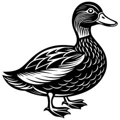 Black duck isolated on white vector illustration