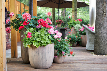 flower arrangements with garden flowers decorate the summer veranda