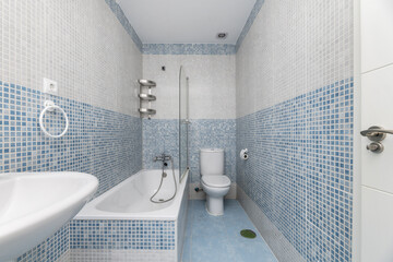 A bathroom with combined blue and white gresité-type tiles and white porcelain toilets