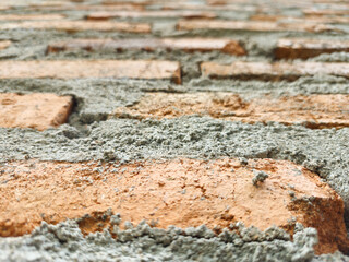 the walls of the house are made of bricks