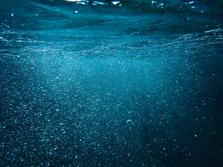 bubbles, bubbles undersea, undersea, green water, underwater, crystal sea, background, sea, bubble,...