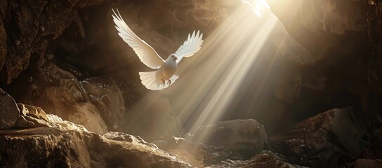  White Dove Flying Towards the Gates of Heaven Amidst Colorful Clouds and Light - Serene and Ethereal Spiritual Image