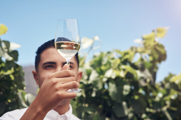 Vineyard, man and check wine quality in glass at farm outdoor for summer agriculture, growth or harvest in countryside. Winery, winemaker and hand with alcohol drink, organic beverage or production