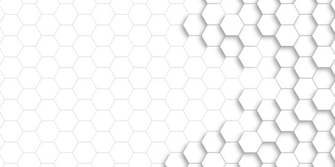 Fototapeta premium White hexagonal background. Luxury white pattern. Vector Illustration. 3D futuristic abstract honeycomb mosaic white background. geometric mesh cell texture. modern futuristic wallpaper.