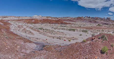 South side of Blue Valley at Petrified Forest AZ