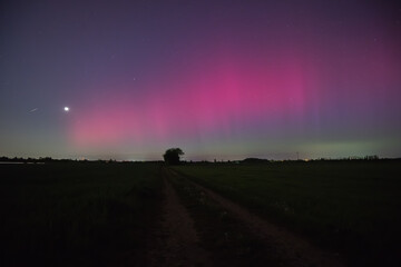 Northern lights over Munich due to an extreme geomagnetic storm on the night of May 10th to 11th,...