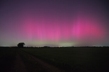 Northern lights over Munich due to an extreme geomagnetic storm on the night of May 10th to 11th,...