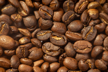 Texture of medium roasted arabica coffee beans