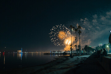 Fireworks over downtown St. Petersburg, Florida