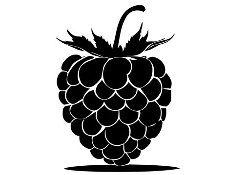 recommend clip art: schwarze Silhouette Himbeere isoliert auf weißen Hintergrund, Freisteller 