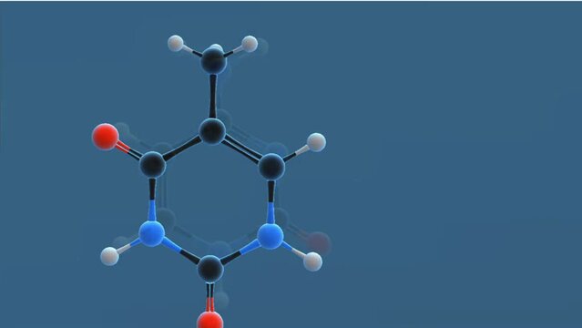 Adenine. Guanine, Cytosine and Thiamine molecular formula