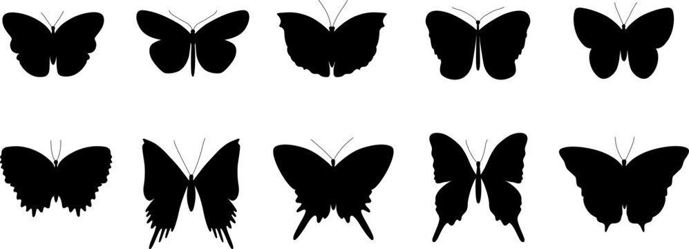 Butterfly silhouette vector illustration collection. Various butterflies black shapes set. Wild nature insects isolated. Design element for print, icon, tattoo