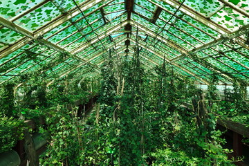 Ogród Botaniczny Uniwersytetu Wrocławskiego, Polska