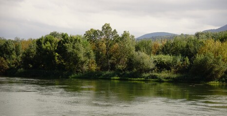 riverside landscape and forest
