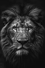 Papier peint photo Lion Illustration of Strength (card 8) with a lion's face divided into light and shadow, symbolizing courage and inner strength.  © Oleksandr