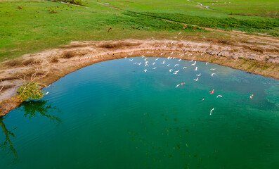 Scenic view of birds over a waterhole in Hato La Aurora, Casanare, Colombia