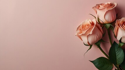 pink roses on pink background with empty space for text