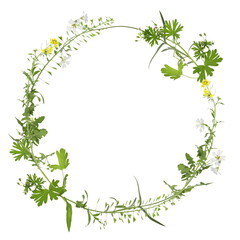 Wreath of beautiful wild flowers isolated on white