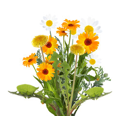 Bouquet of beautiful meadow flowers isolated on white