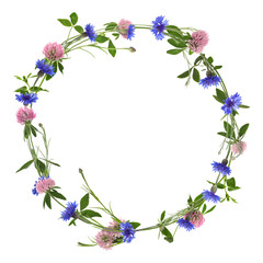 Wreath of beautiful wild flowers isolated on white