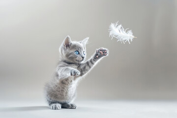 Adorable kitten with blue eyes playing with a feather delicately caught mid-jump in a playful scene