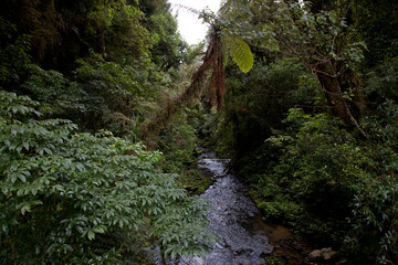 New Zealand landscape on a cloudy autumn day