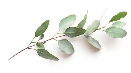 Verdant Dance: A Symphony of Green Leaves