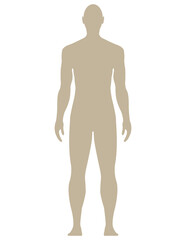 male or man PNG, silhouettes of man PNG, transparent gray color  model body shapes, including people, front view flat Vertical icon