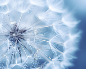 Macro nature background.