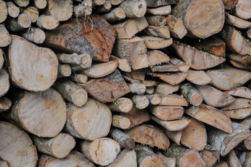 stacked pieces of wood, wood fuel, no people