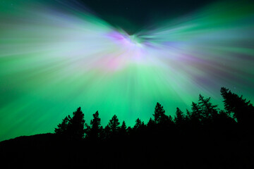 Aurora Borealis rays spreading from auroral corona point with treeline creating colorful night sky...