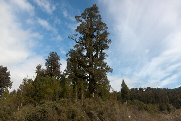 New Zealand landscape on a sunny winter day