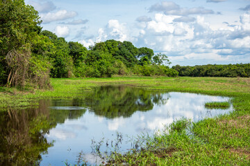 Fototapeta premium Scenic view of a water body in Casanare, Colombia with lush greenery