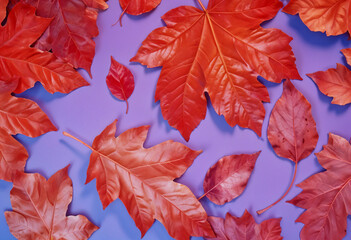 Pattern of orange metallic leaves on violet background with neon light