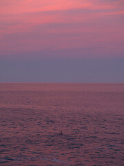 Fototapeta premium Pink and Purple Sunset Over Ocean Horizon