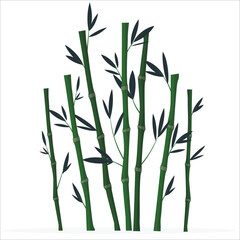 Chinese or japan bamboo grass oriental wallpaper vector illustration. Tropical asian plant. bamboo forest set. spa nature. plant tree with leaves. bamboo with leaves on white background
