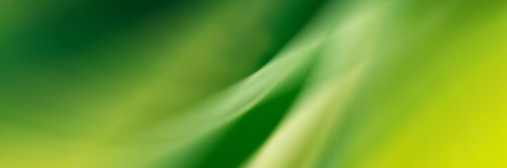 Blurred abstract gradient wave natural green, yellow background banner. Panoramic web header. Wide screen wallpaper.