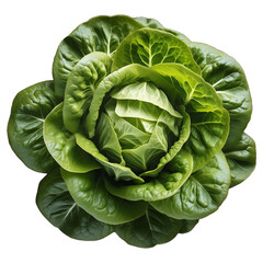 Obraz premium Green salad isolated on a transparent background