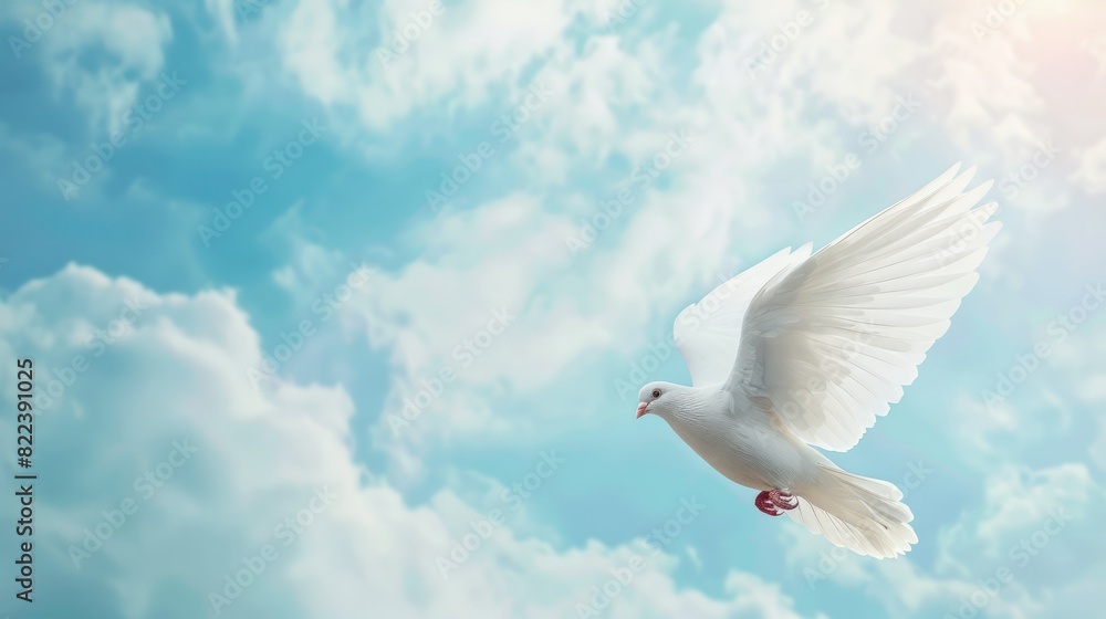 Poster light fluffy dove floating in the sky with cloudy. freedom concept background
