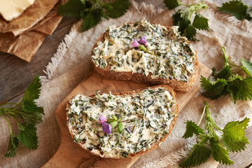 Nettle butter - homemade bread spread made of wild edible plants collected in spring