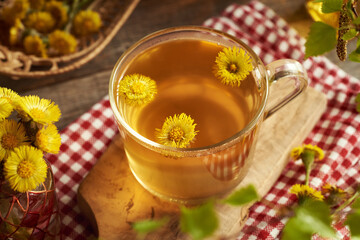 Herbal tea with fresh coltsfoot flowers