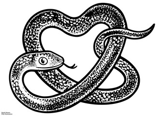 Obraz premium snake in form of heart symbol sketch engraving PNG illustration. T-shirt apparel print design. Scratch board imitation. Black and white hand drawn image.
