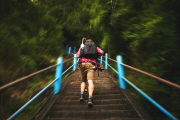 Man, hiking and stairs with back in nature, motion blur or running for exercise, wellness or workout in forest. Person, backpack and climb steps in woods for training, trekking and survival adventure