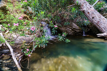 Rhodes Seven Springs