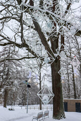 Decorations with disco ball on winter trees in the park. Snow on the branches.